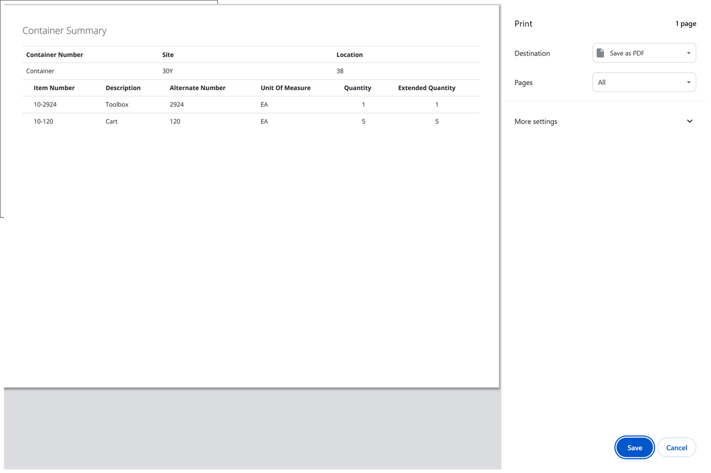Print Preview window showing the Container Summary report with the container's site, location and items
