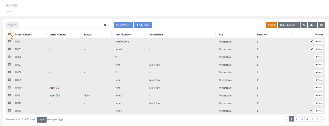 Assets page with the header check box selected, marking all ten visible asset rows as selected