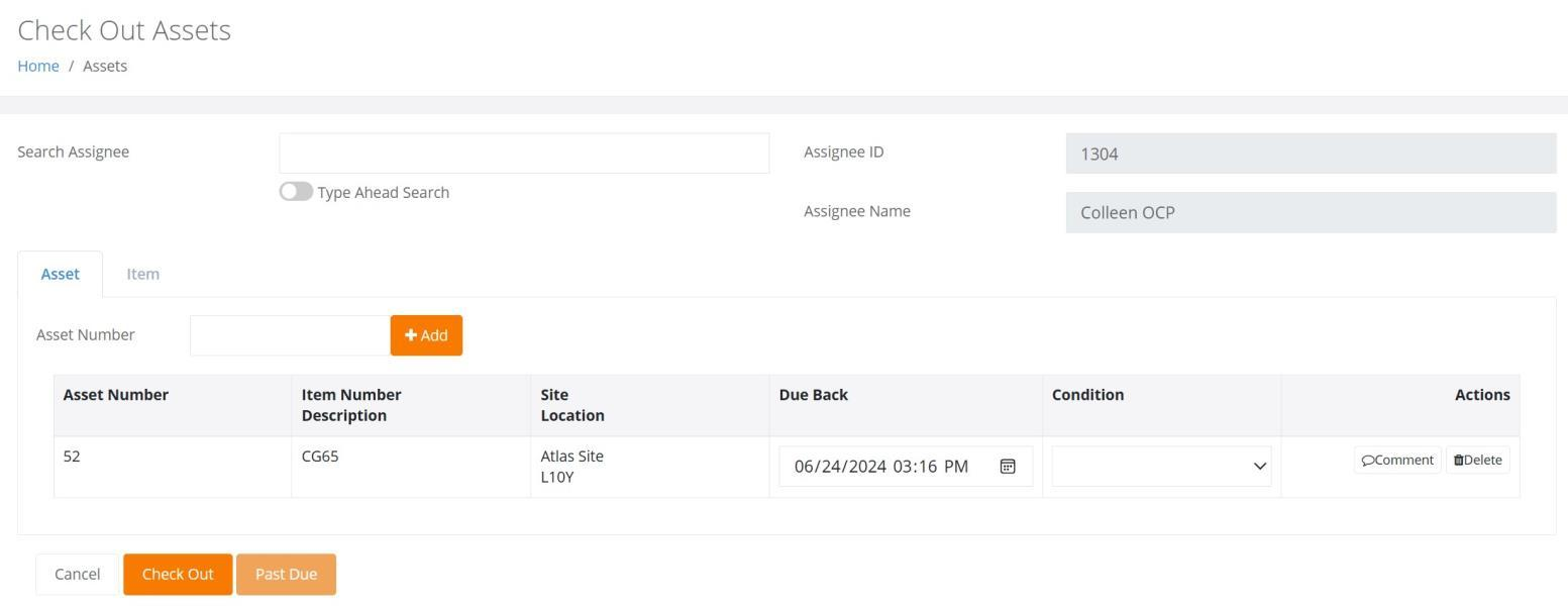 Check Out Assets page with the Asset tab selected